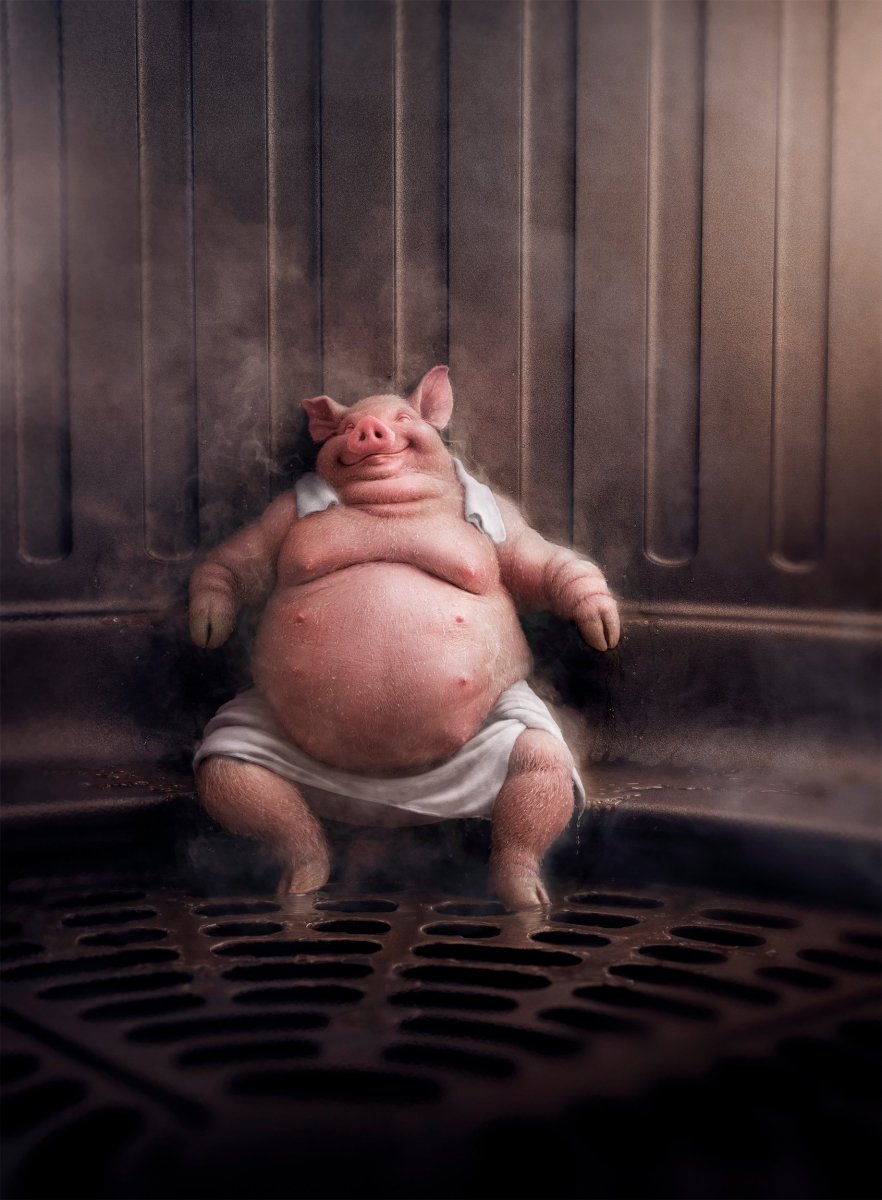 Хрюшка в тазике
