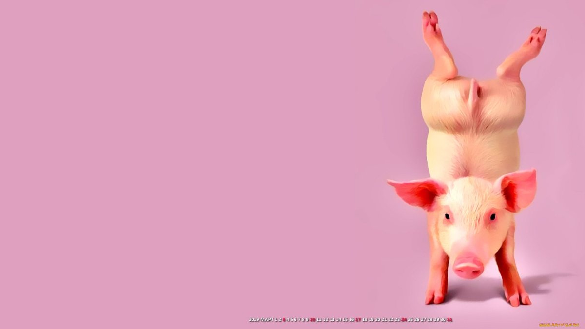 Пиг-Бич Багамские острова