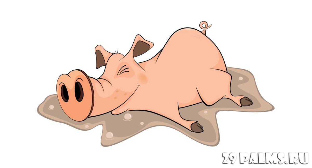 Животное в ванной