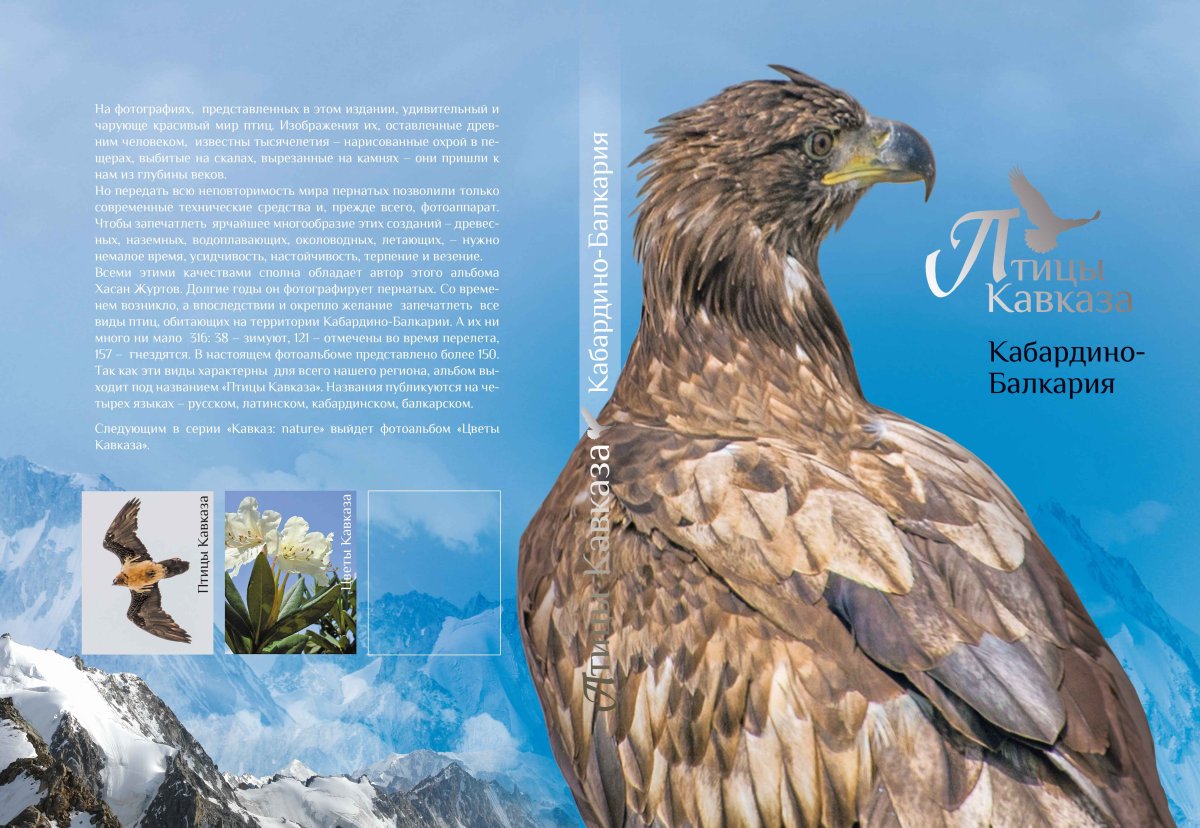 Птицы обитающие в Кабардино Балкарии