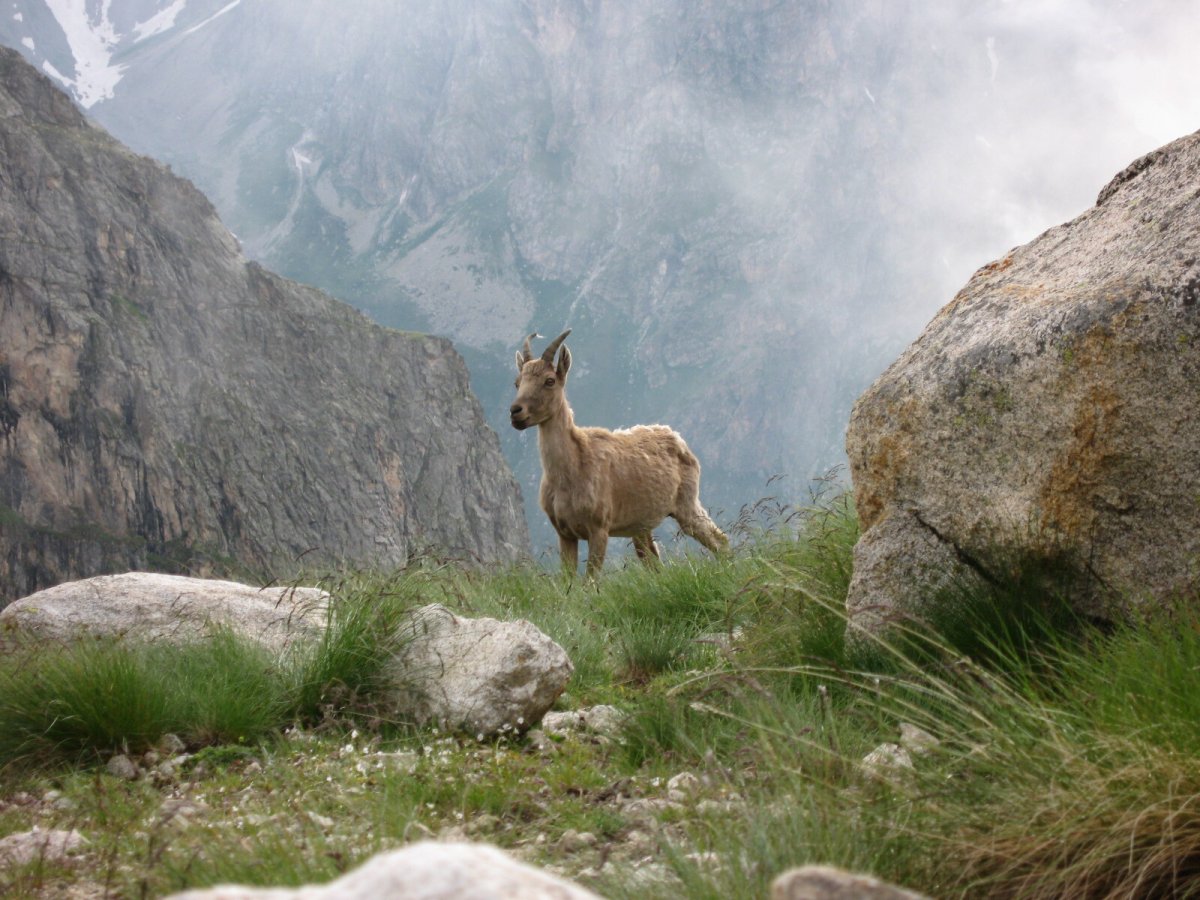 Ущелье Адыр-Су