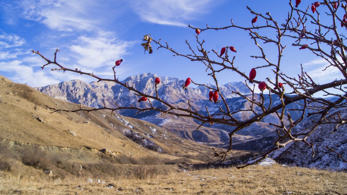 Кабардино-Балкария небо мост птицы