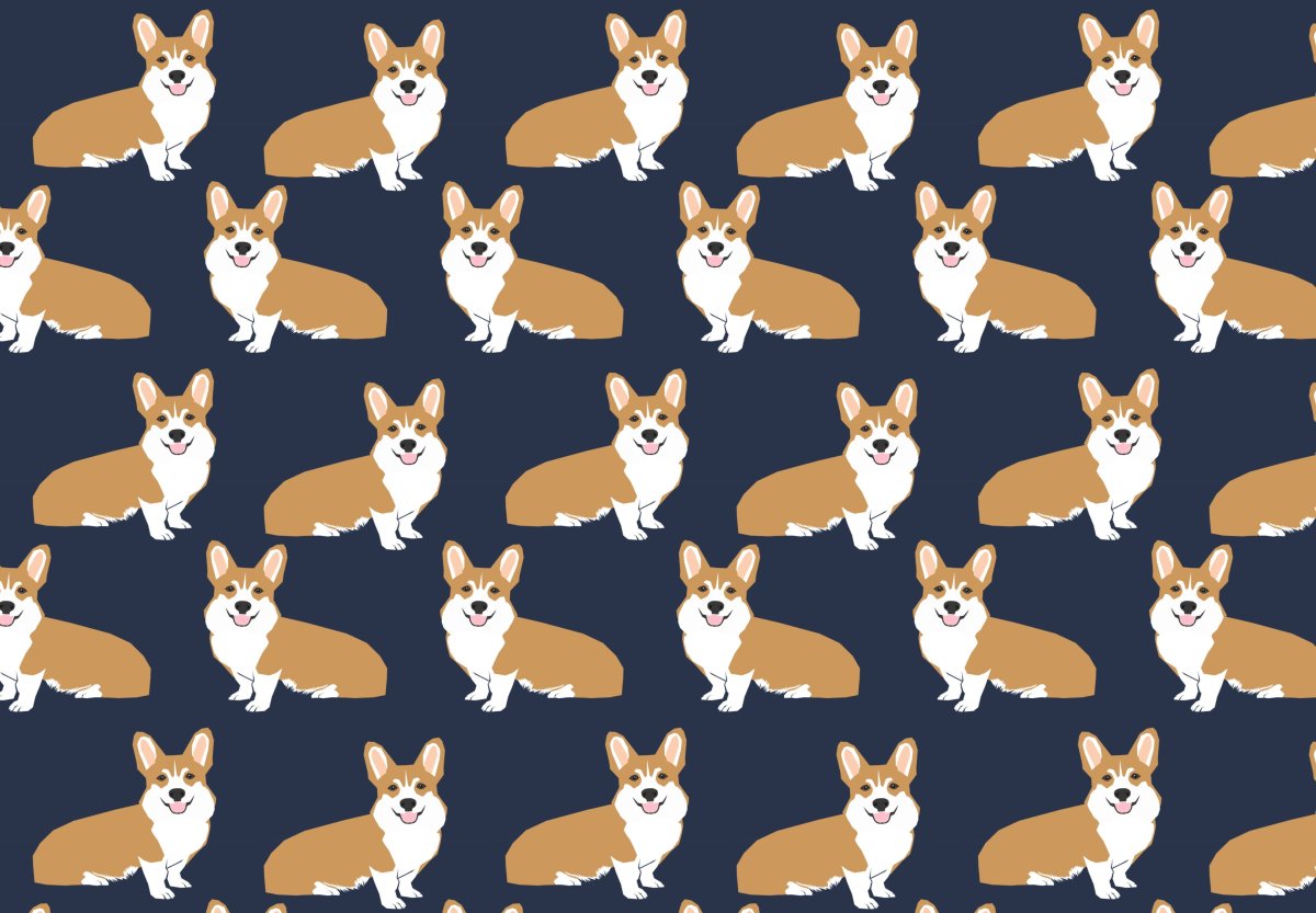 Корги обои