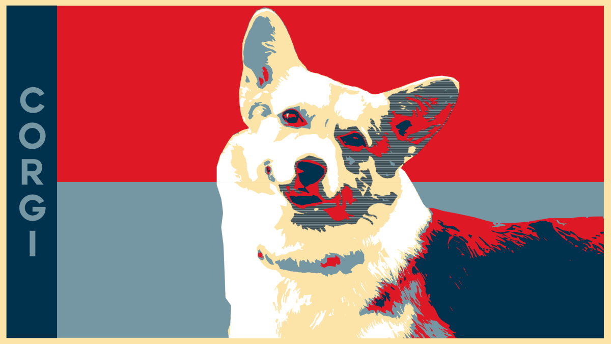 Постер корги