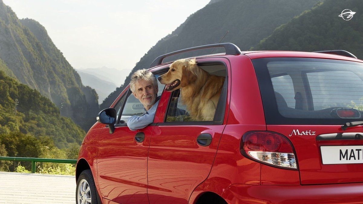 Матиз порода собаки фото