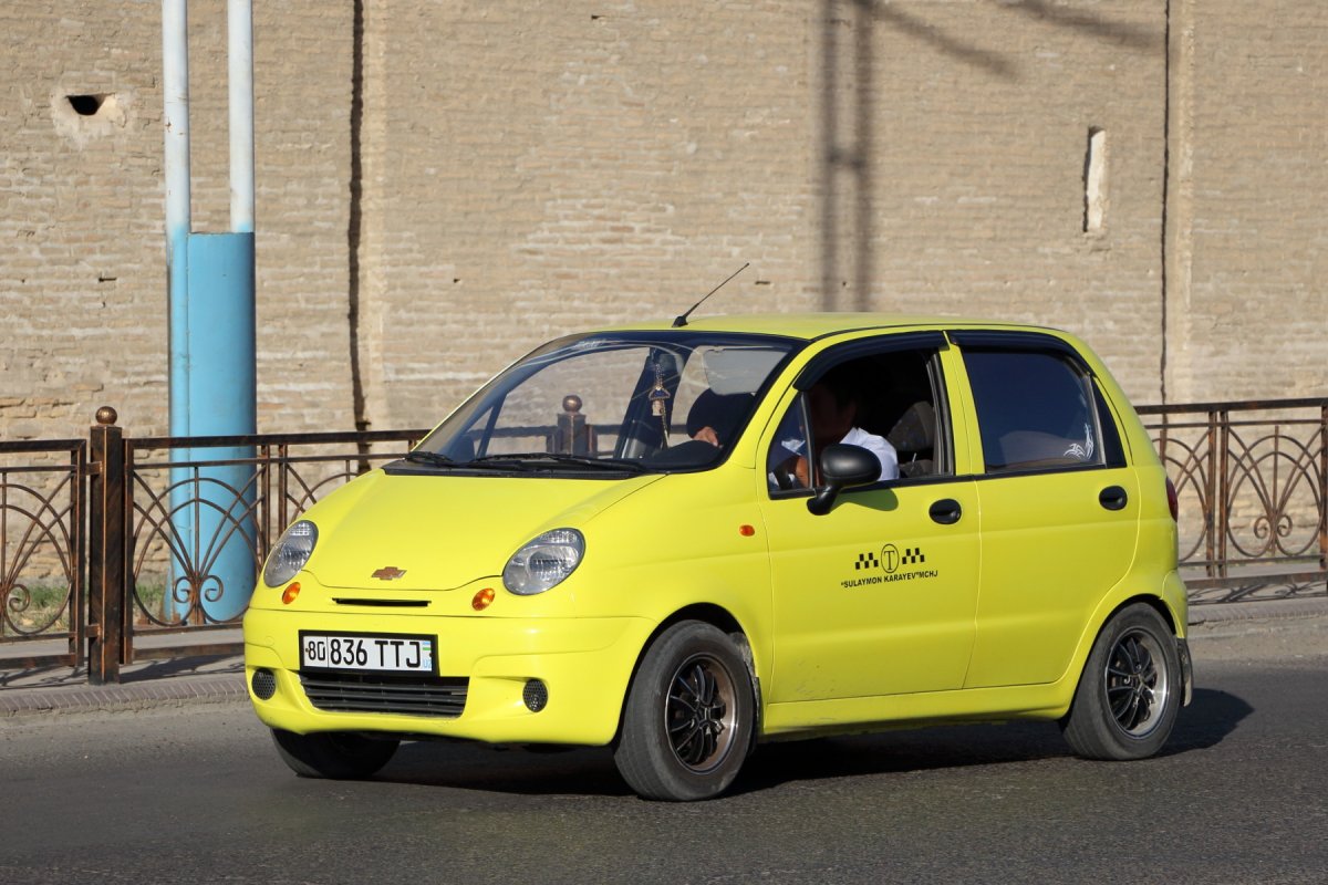 Розовая собака