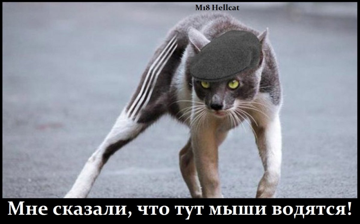 Кот гопник прикол