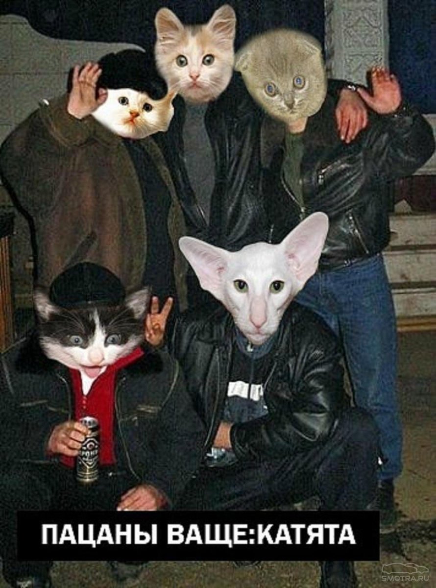 Пацаны ваще котята