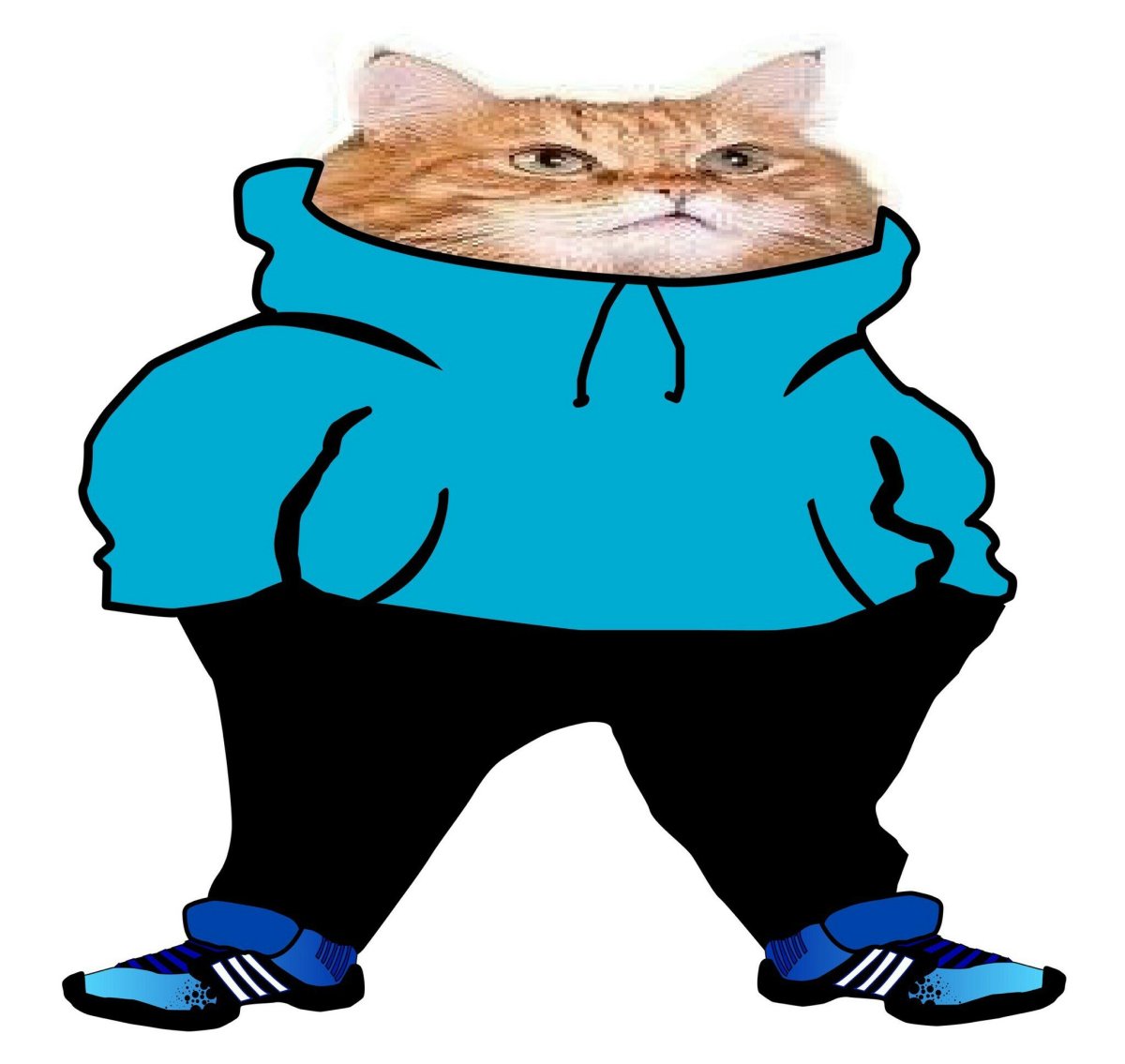 Коты гангстеры животного мира