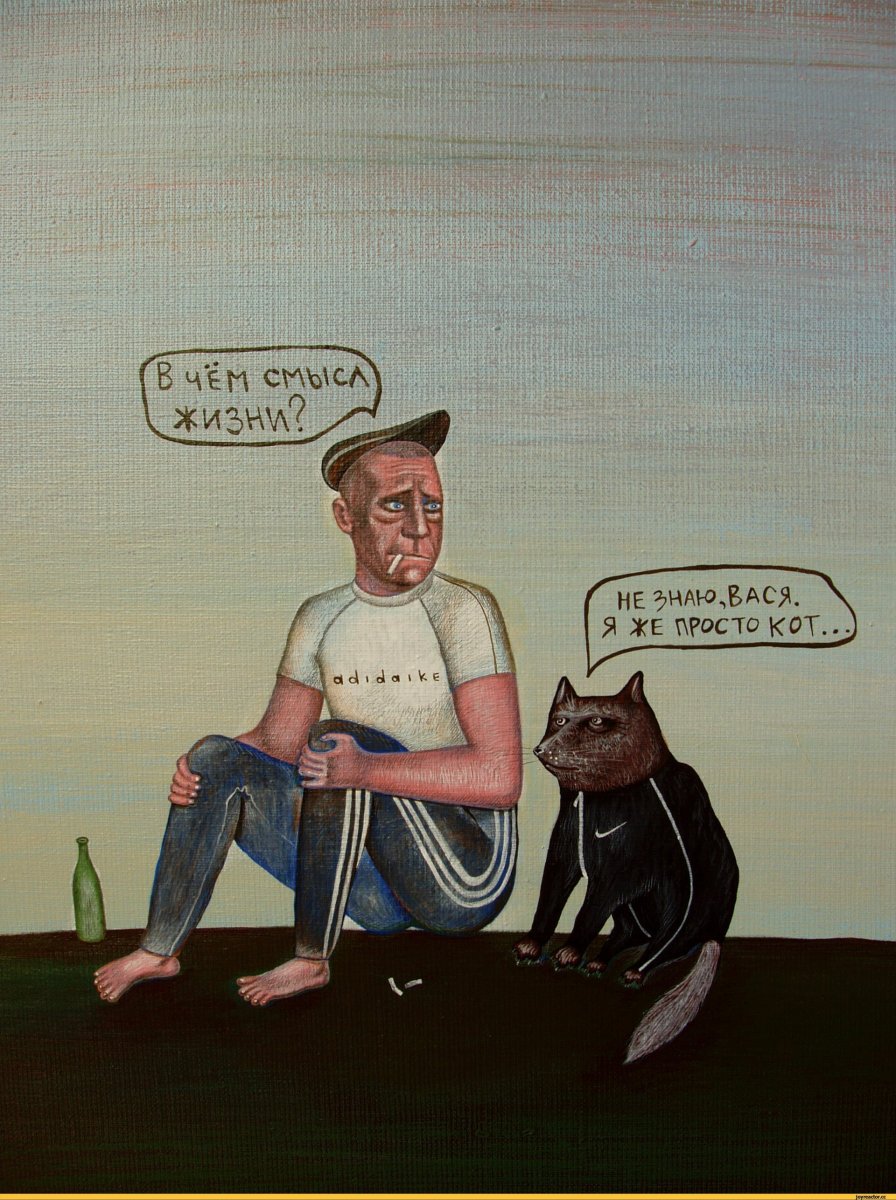 Кот в капюшоне