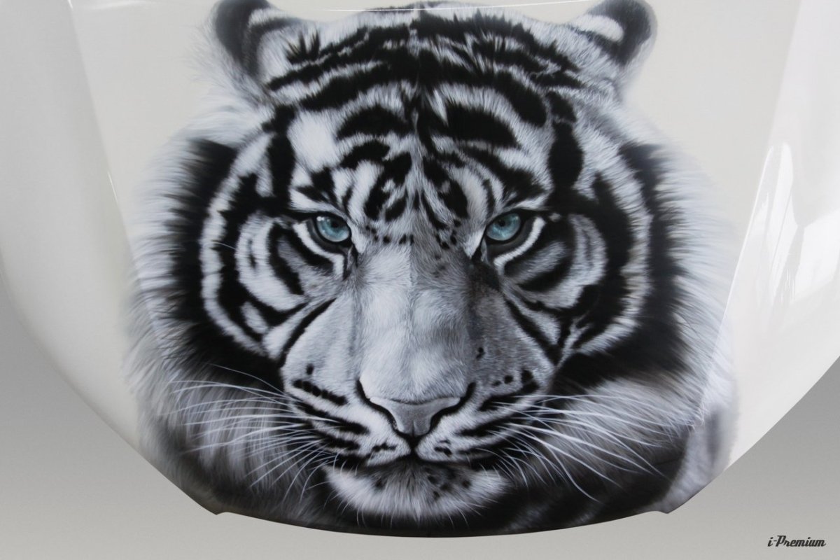 Аэрография тигр