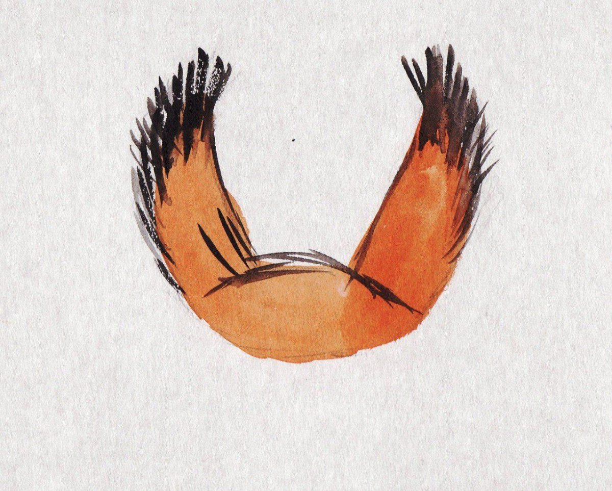 Уши белки для детей