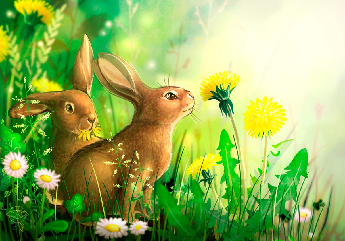 Зайцы на Поляне