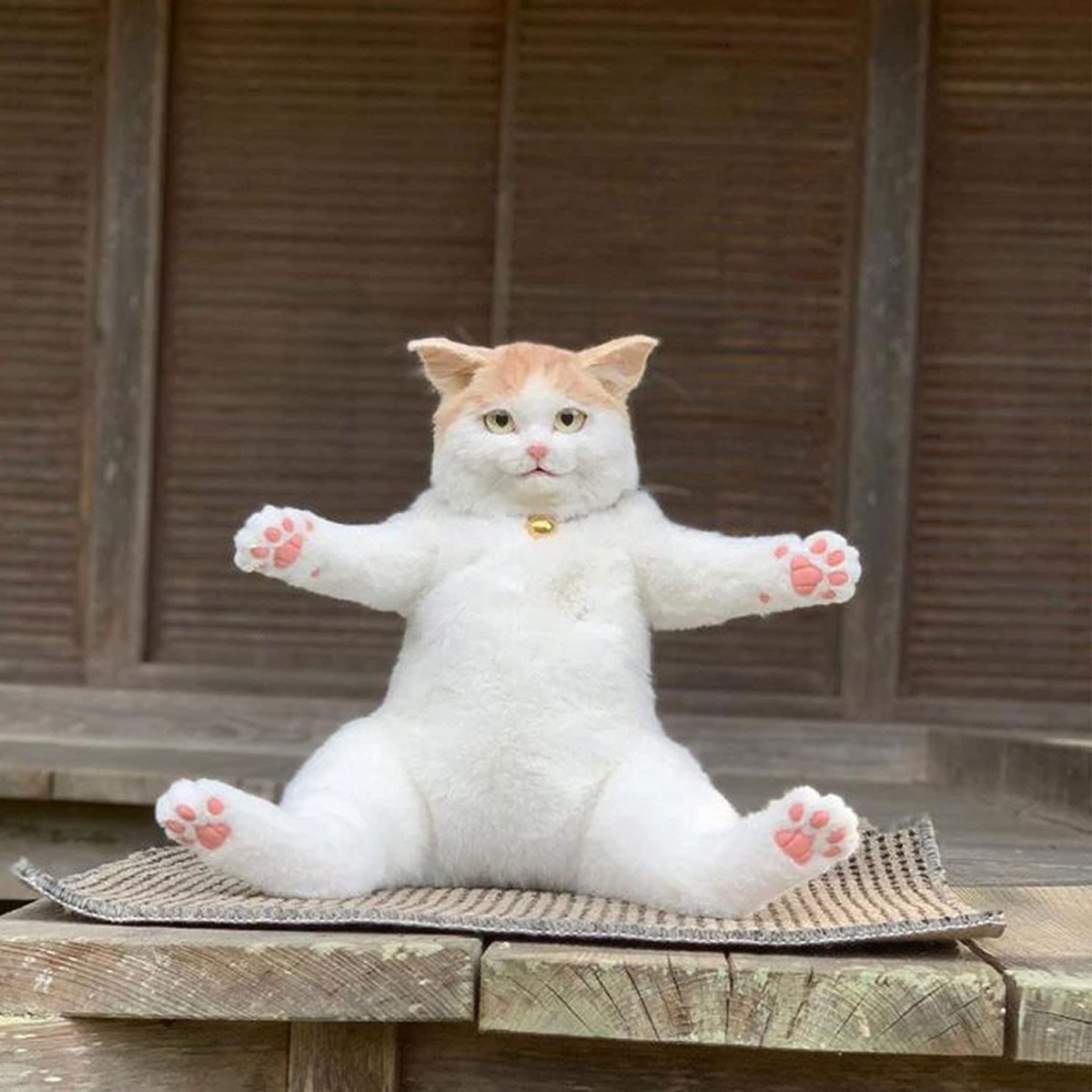 Рюкзак для кошек с иллюминатором