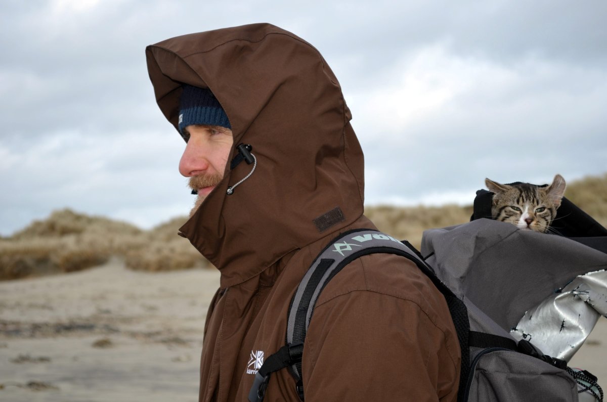 Рюкзак для собаки