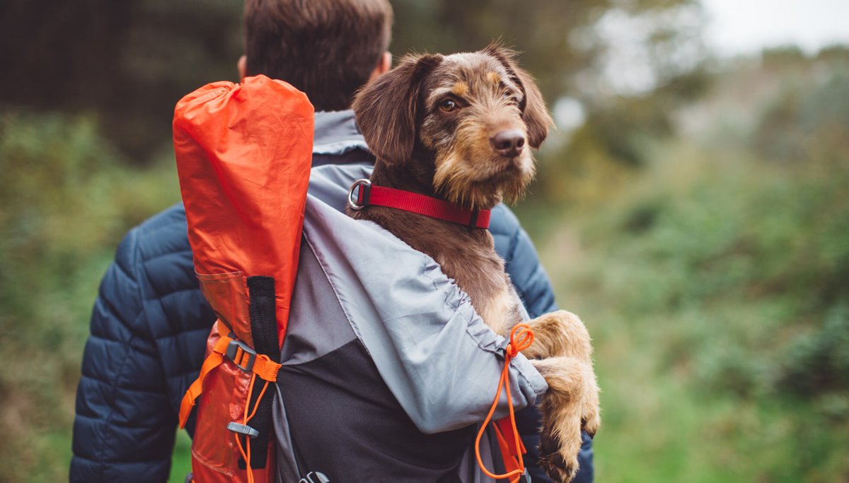 Человек и природа