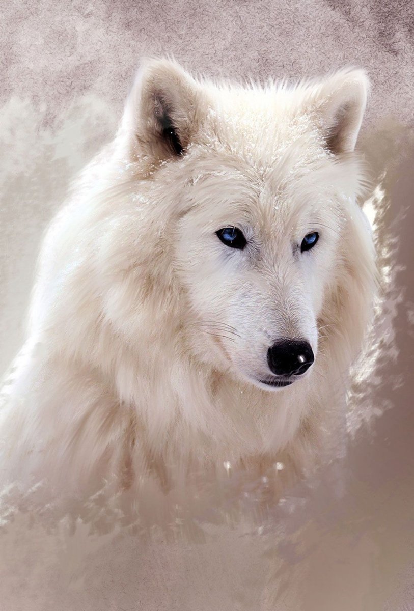 Волчий самоед