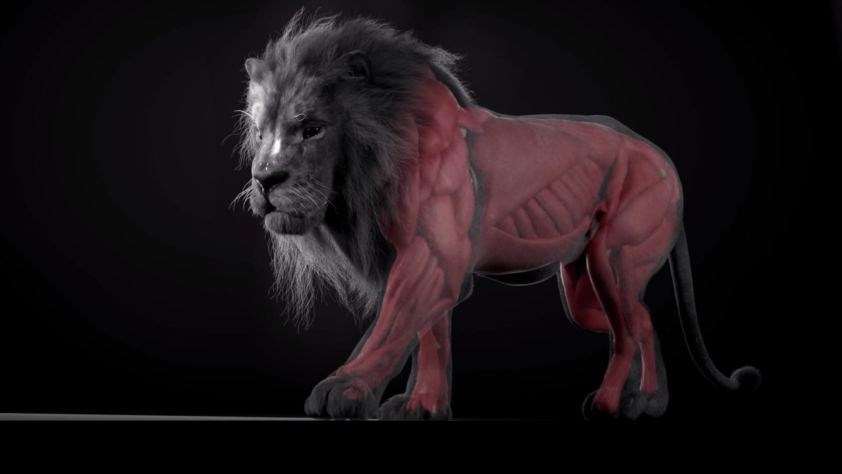 Брутальные животные