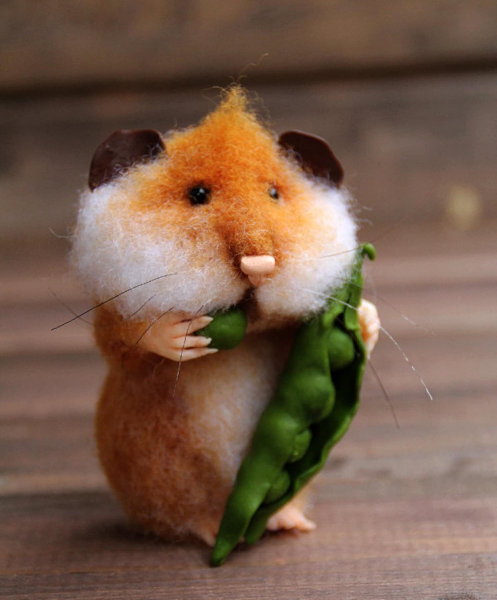 Хомяк Эстетика