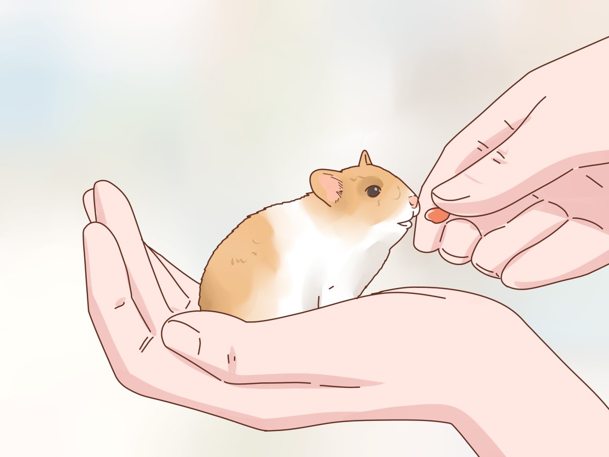 Хомячок Сукероку