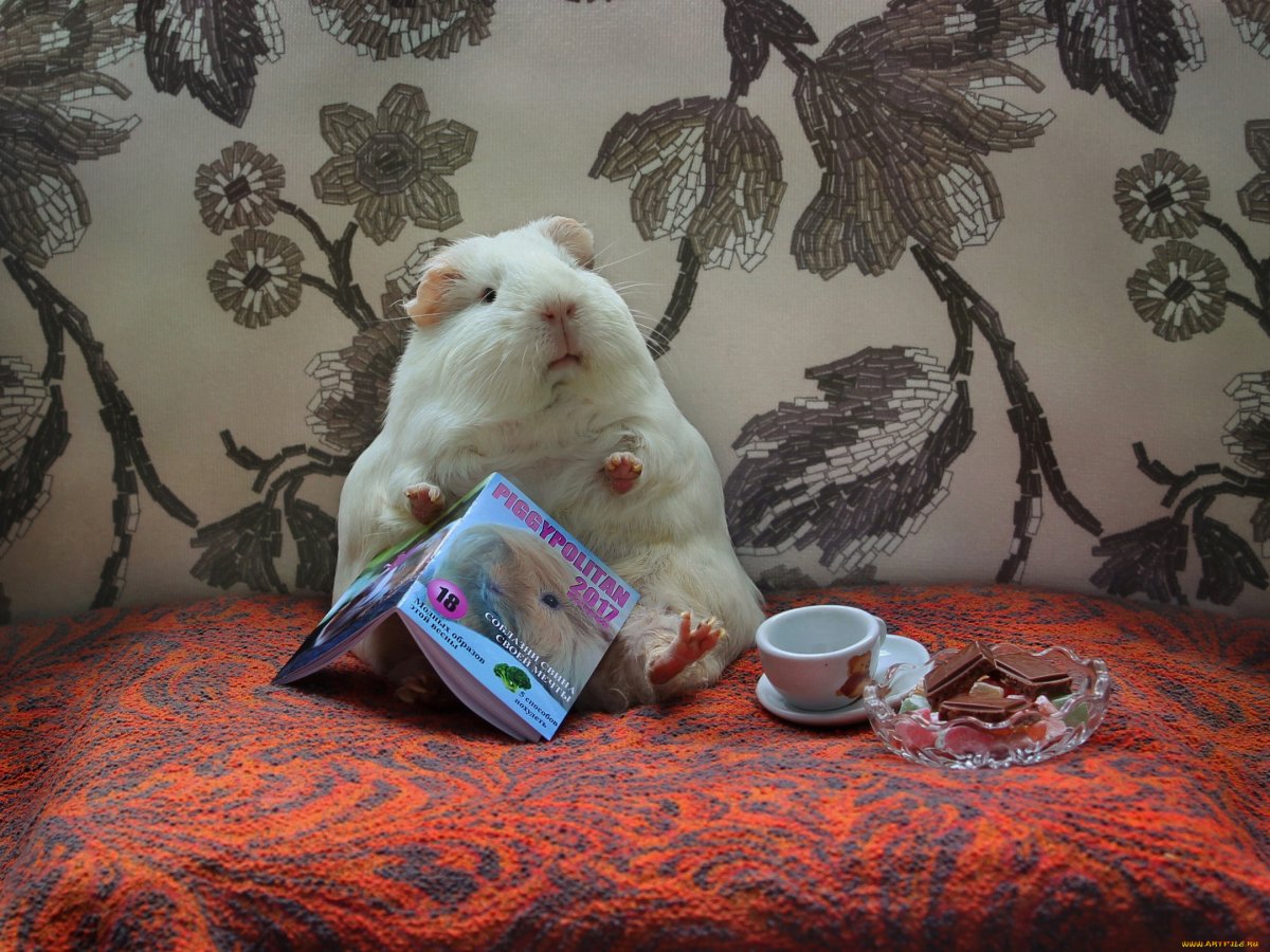 Будешь меня обижать наколдую маленький