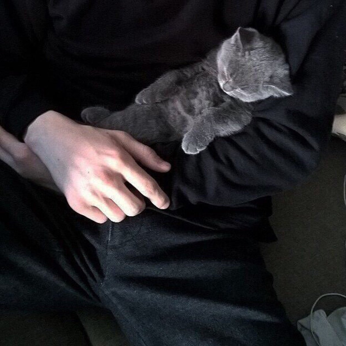 Парень с котом Эстетика