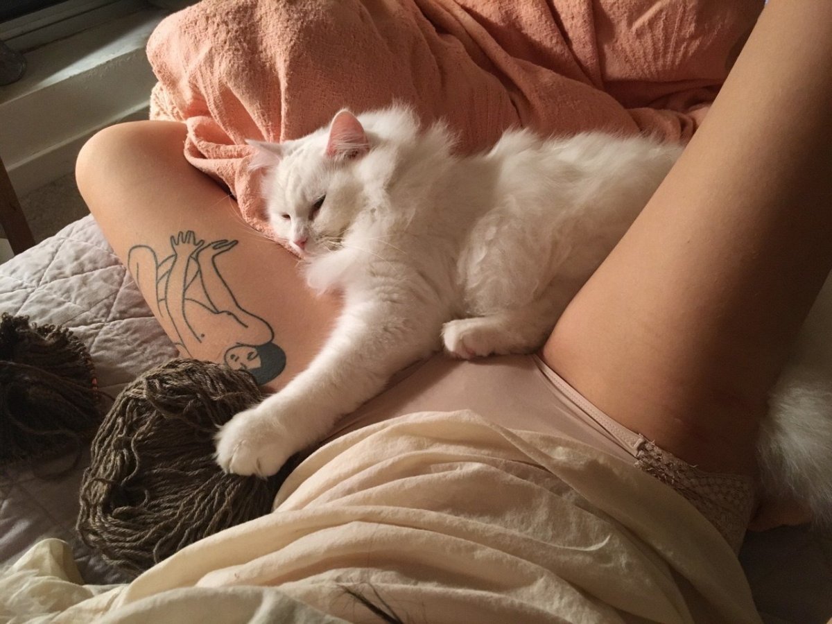 Самые красивые киски девушек