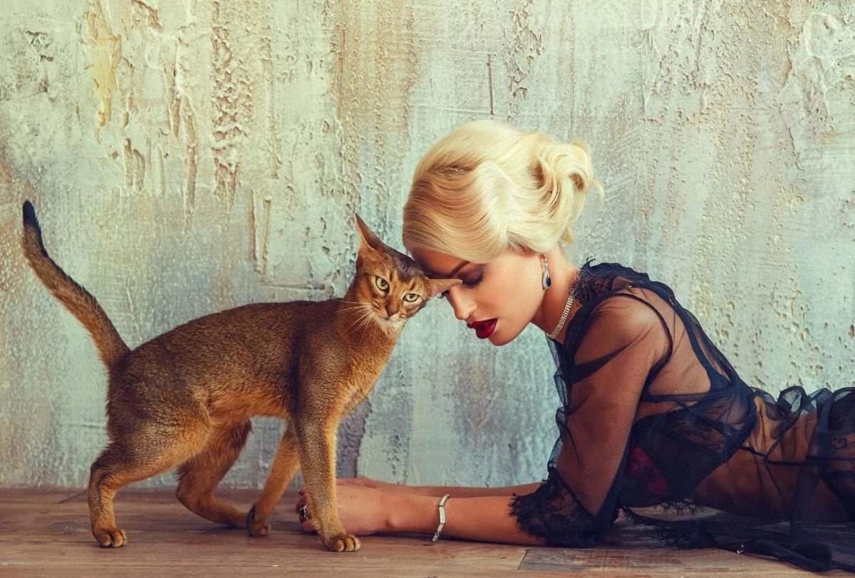Блондинка с кошкой