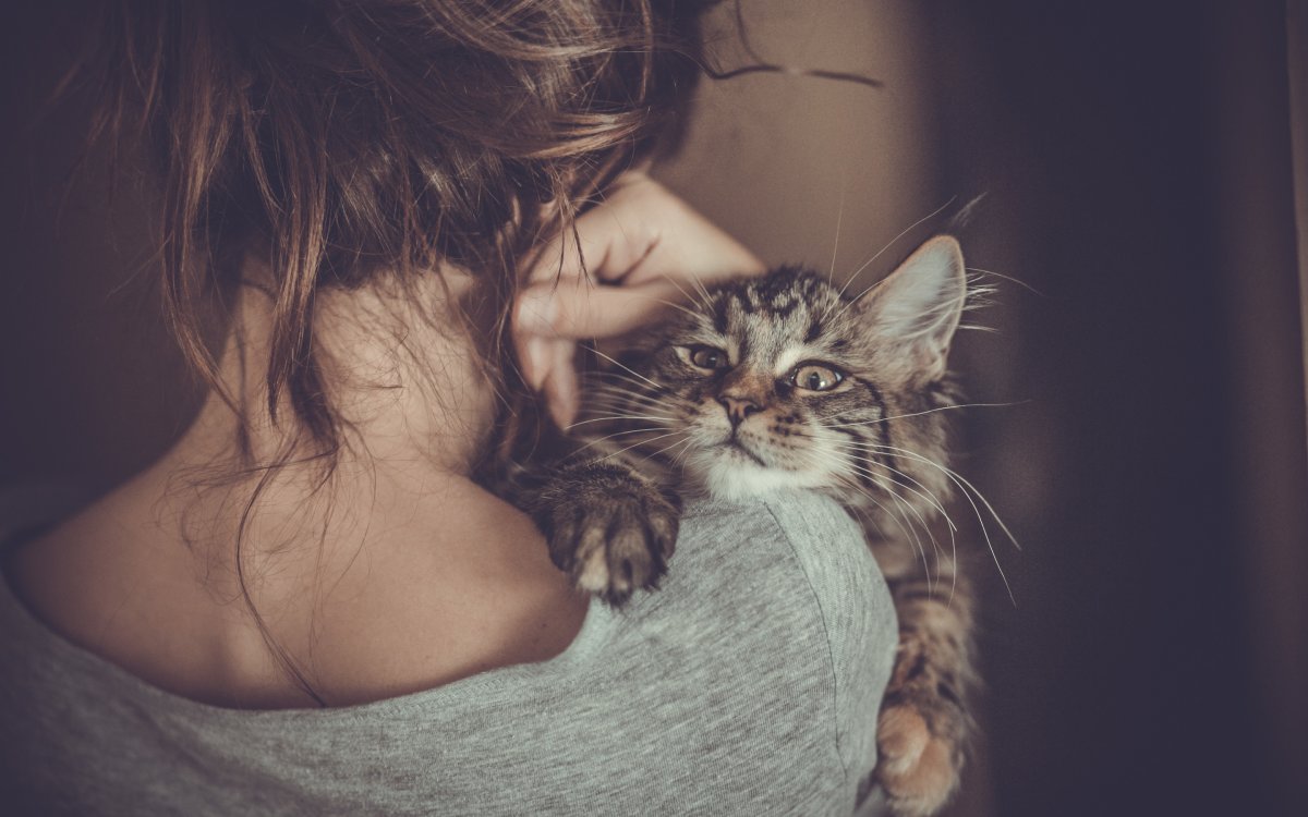 Кои девушка