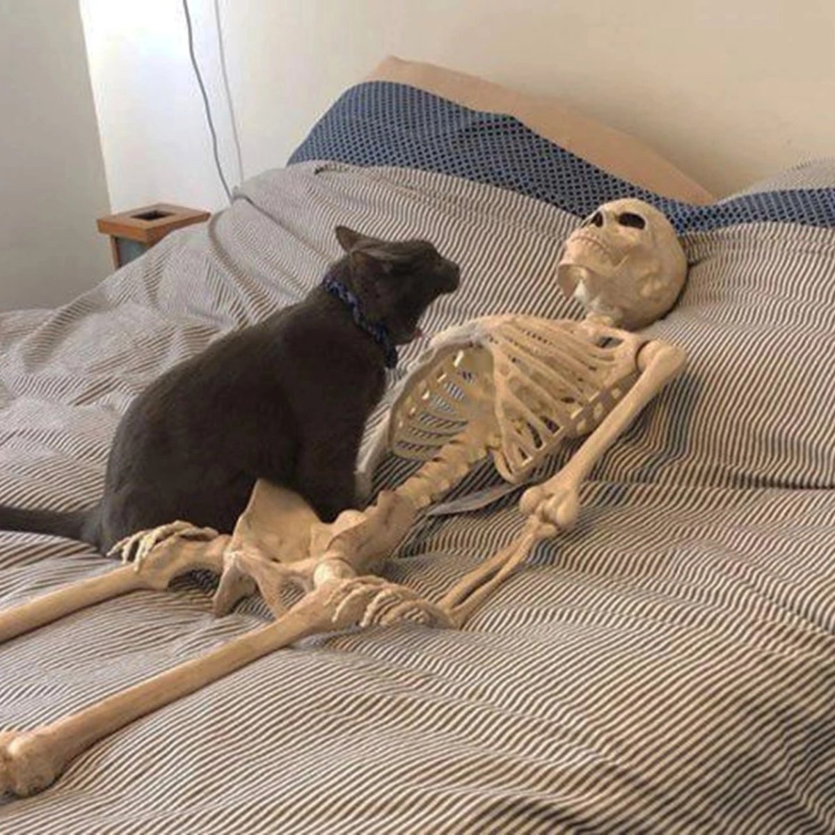 Смерть не оправдание