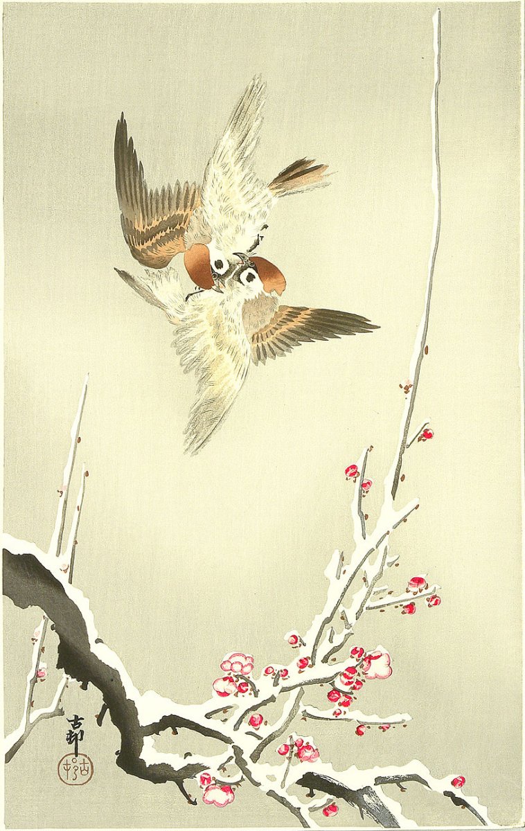 Воробьи в Японии