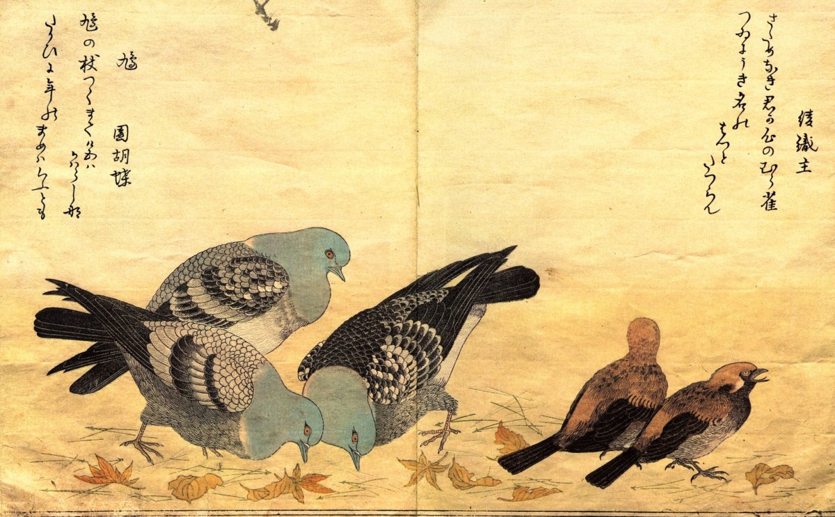 Гохуа китайская живопись птицы