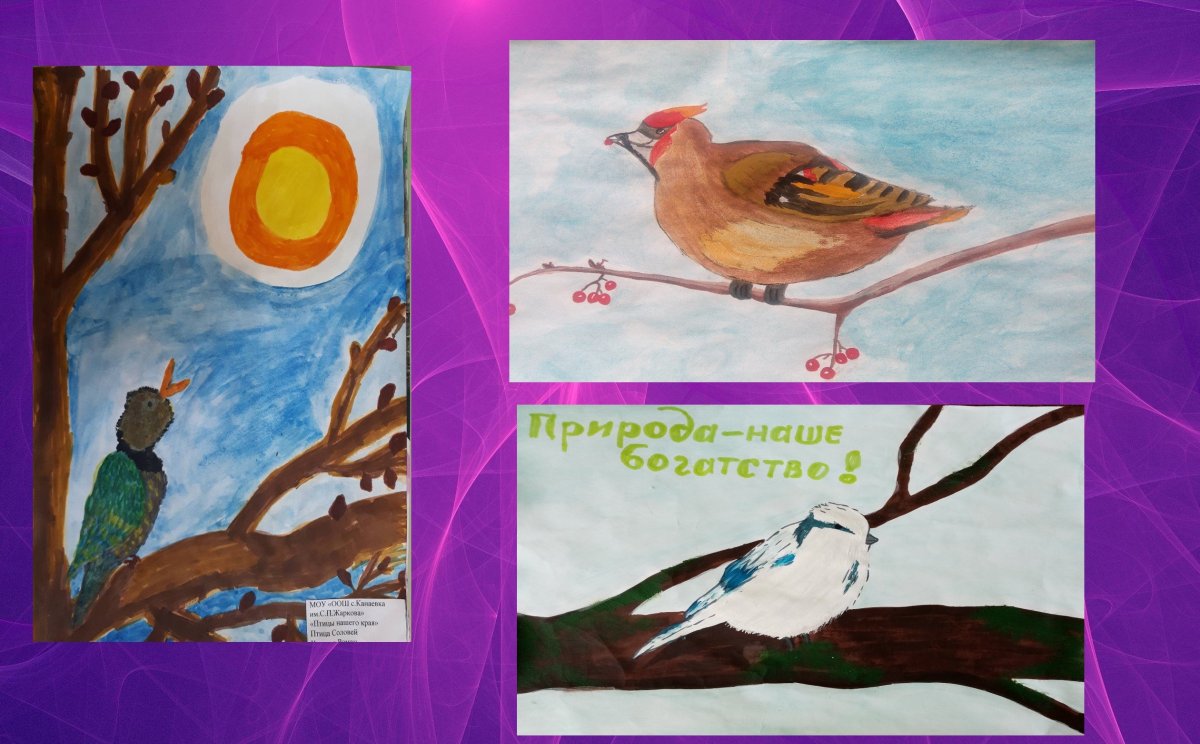 Зимующие птицы синица