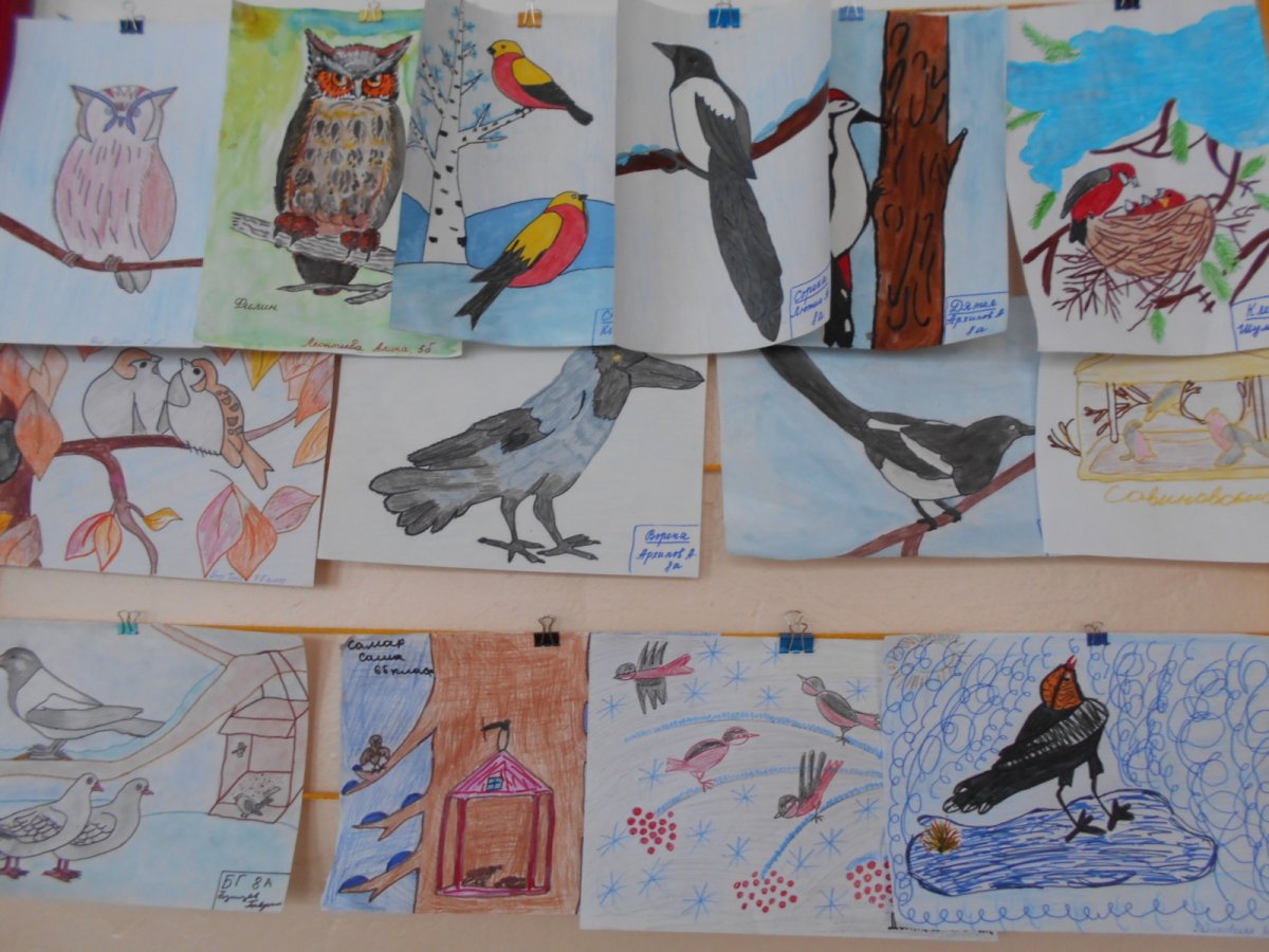 Птицы Южного Урала лазоревка