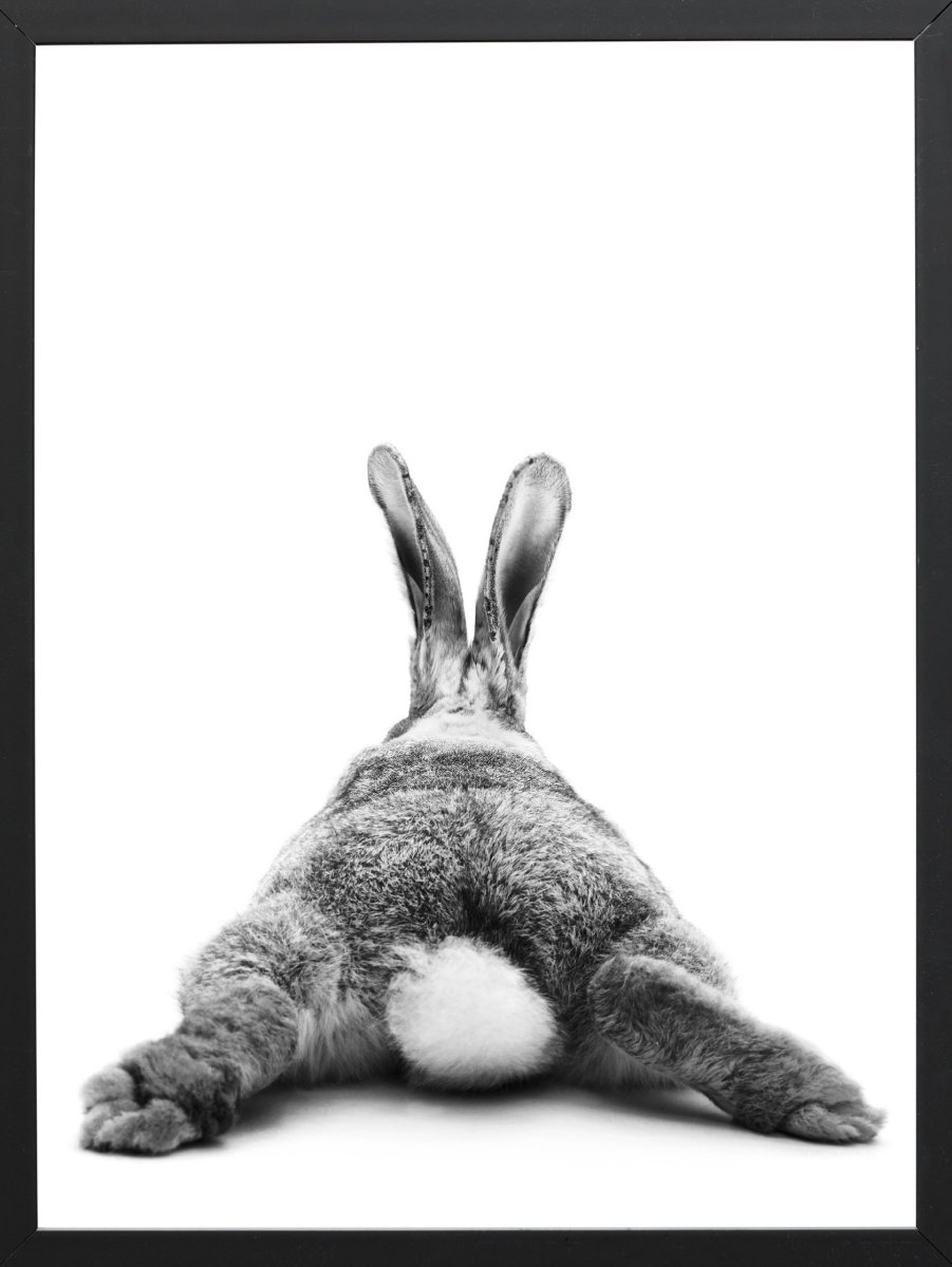 Кролик сзади