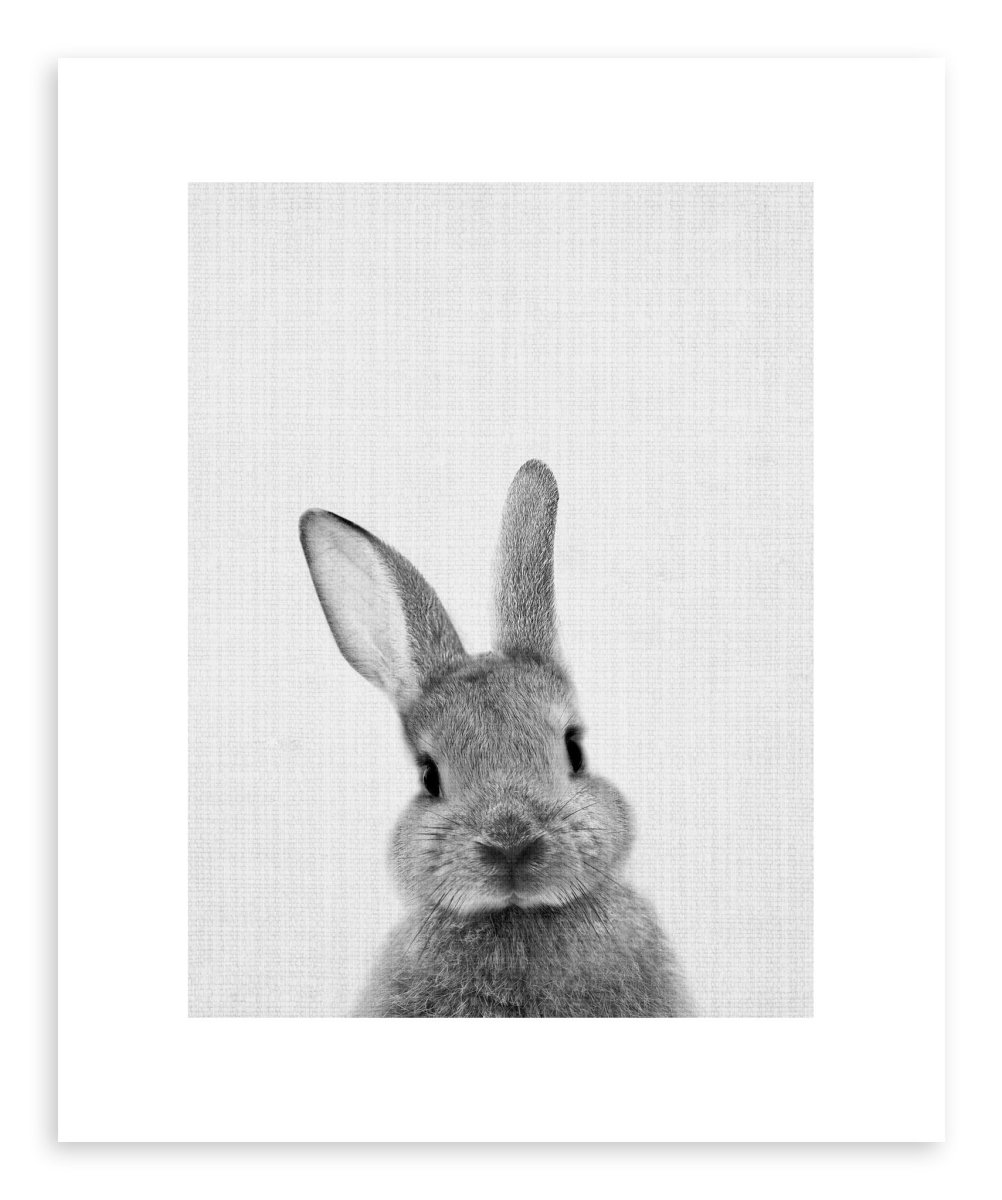 Кролик Постер в интерьере