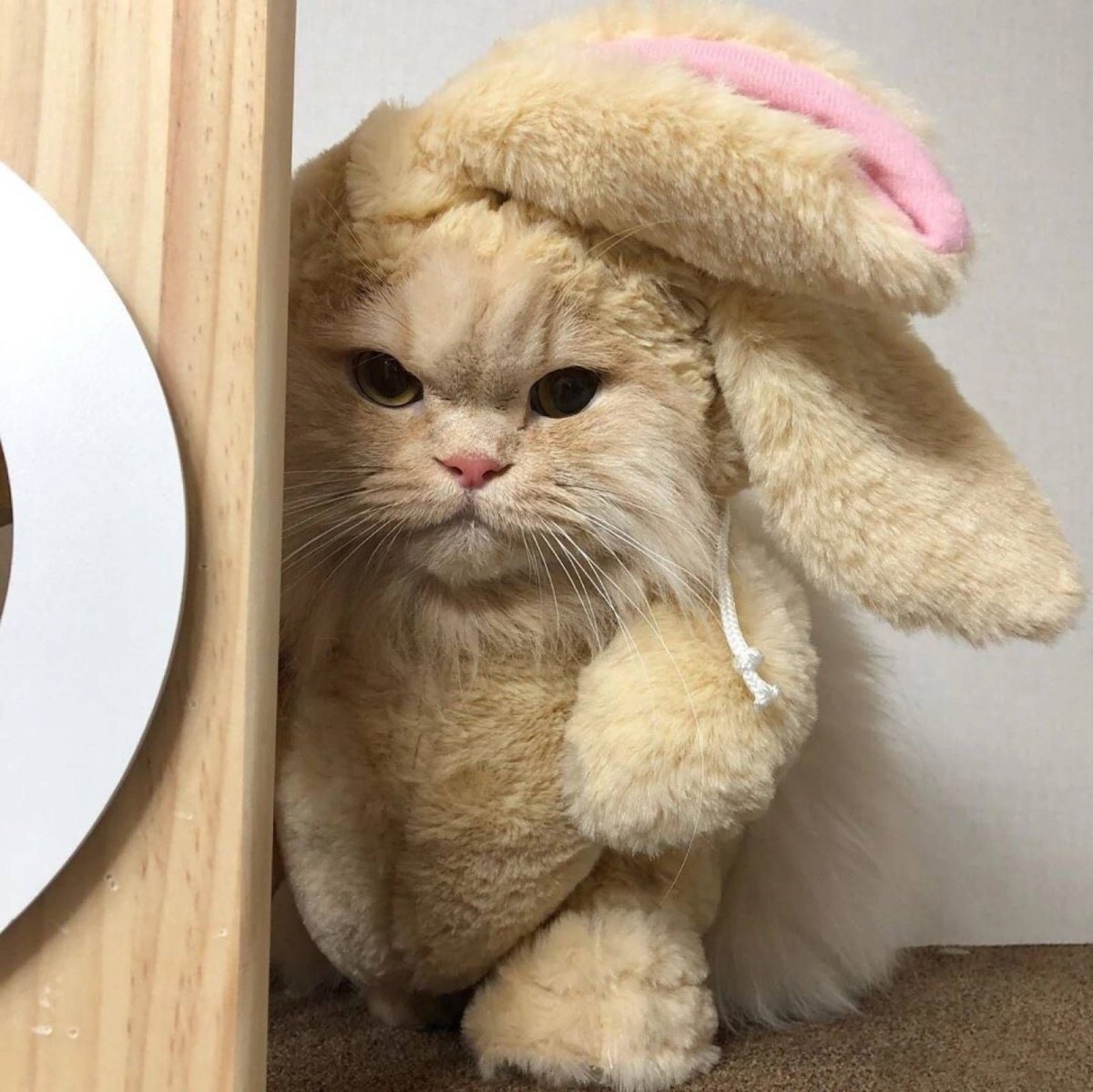 Обиженный зайчик