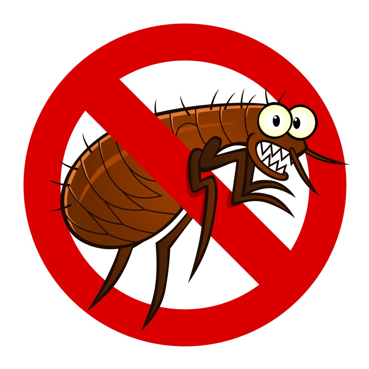 Вши блохи кровососущие насекомые