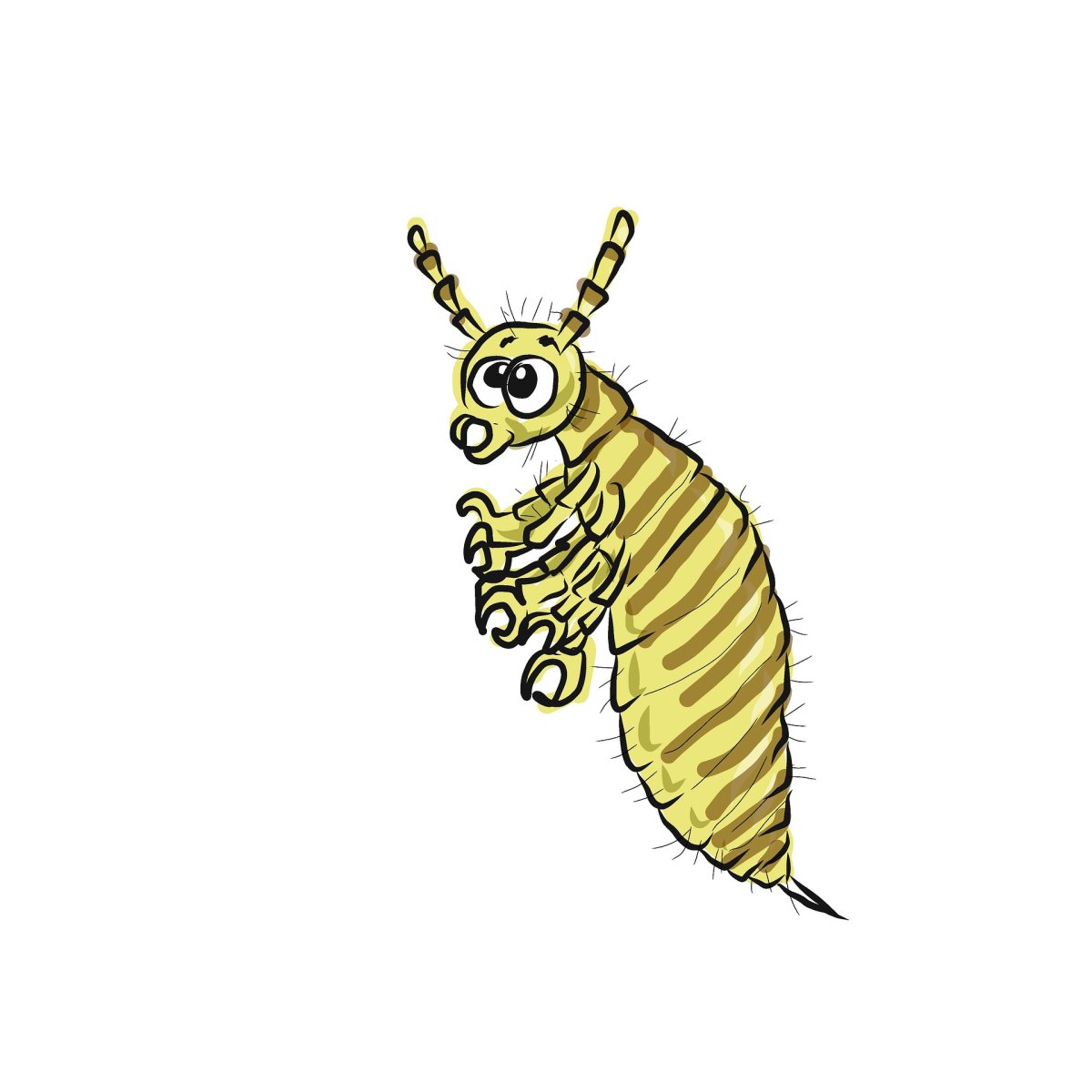 Векторная вошь