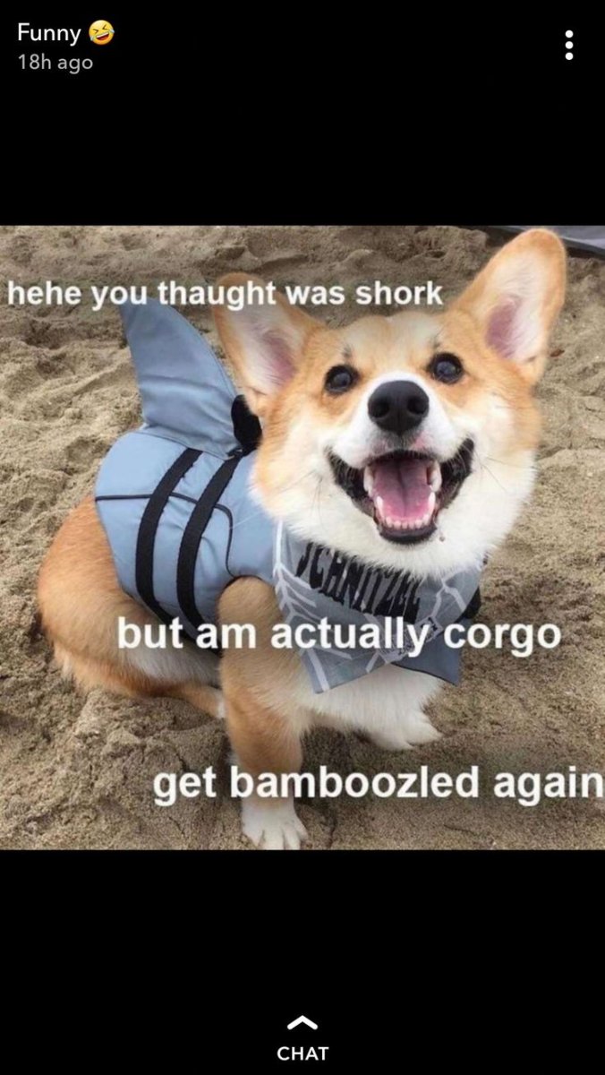 ВК Victor Corgo