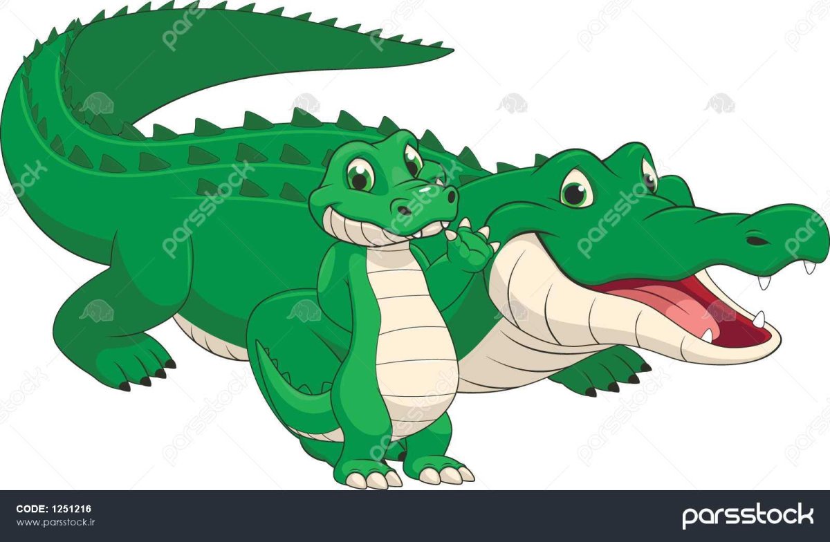 Белый Аллигатор альбинос