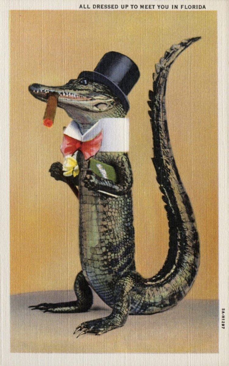 Крокодил мультяшный