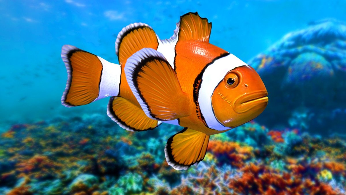 Длиннорылая рыба бабочка