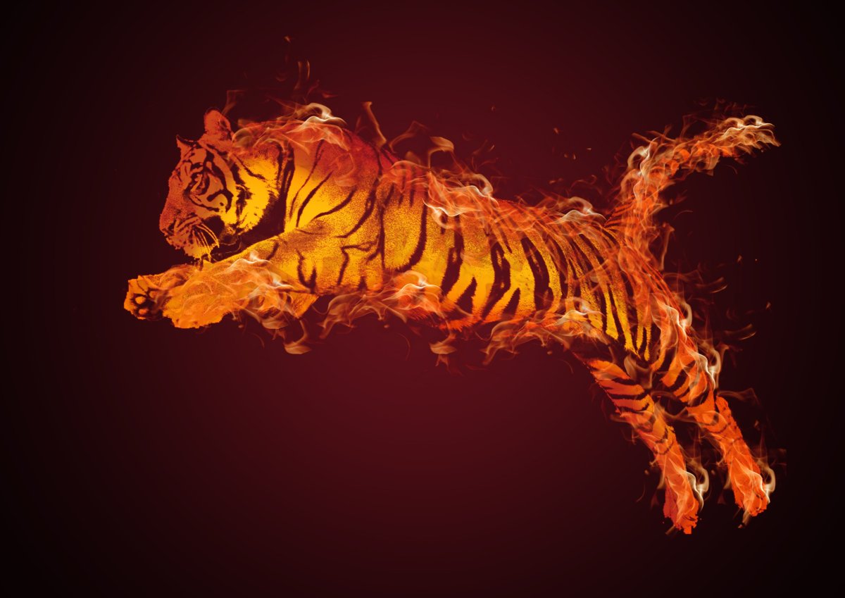 Пламенный тигр