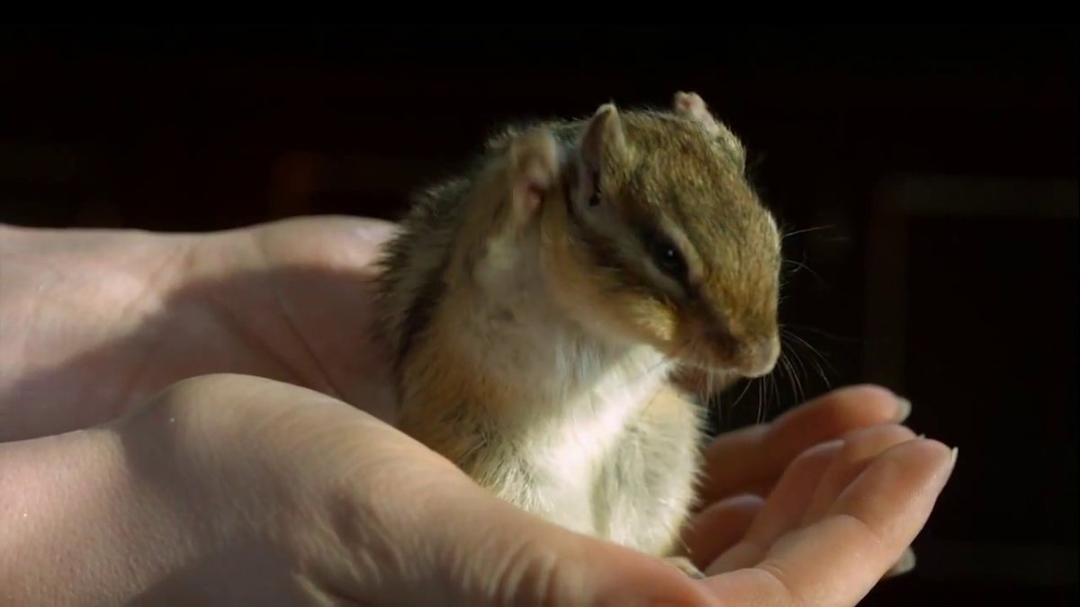 Просыпаемся прикольные