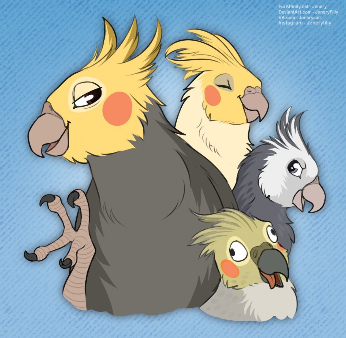 Австралийский попугай корелла