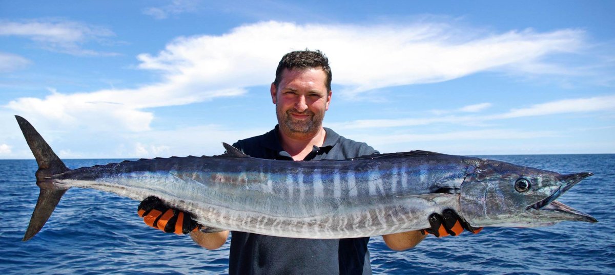 Обыкновенная щука (Esox Lucius)