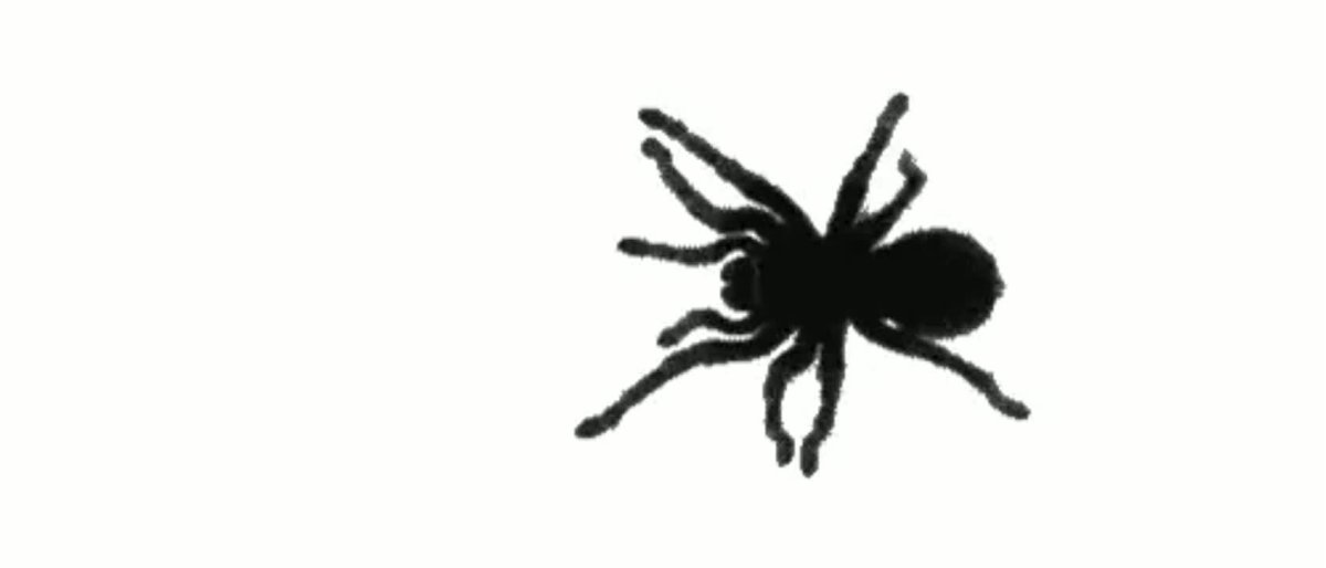 Кобальтовый паук птицеед