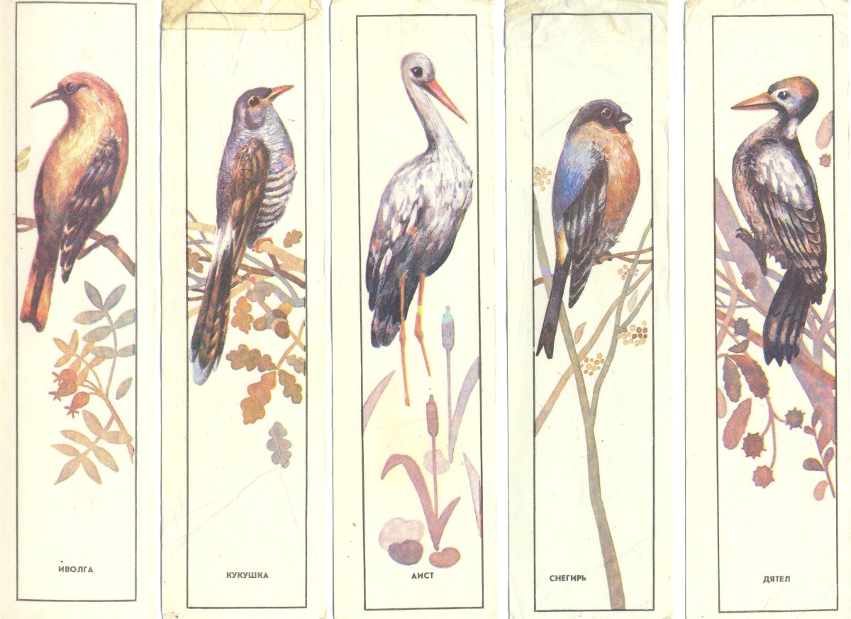 Декоративное рисование птиц