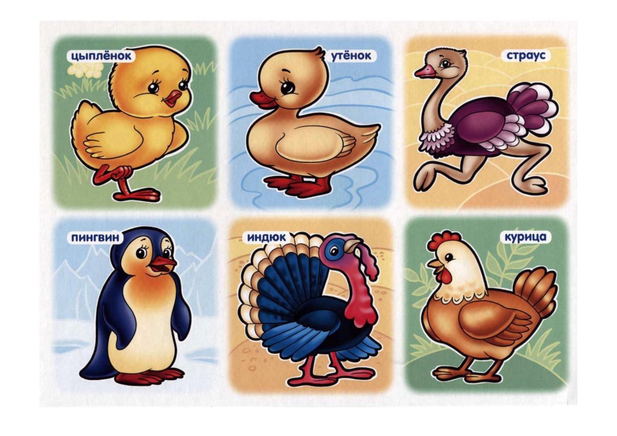 Мультяшные птички в полете